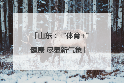 山东：“体育+”健康 尽显新气象
